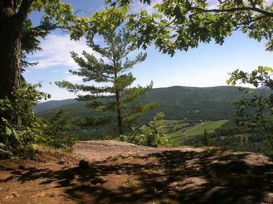 Mount Will Walking Trail